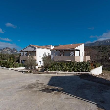 Le Clos D'Oletta Bagian luar foto
